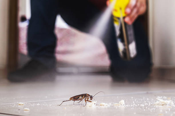 Professional Pest Control in Rosaryville, MD